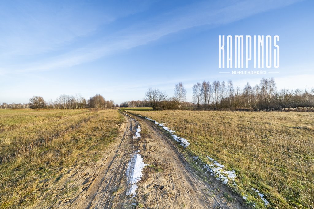 Działka 17 000 m² w Kampinoskim Parku – prywatność i natura Małocice  17 000m2 Foto 1