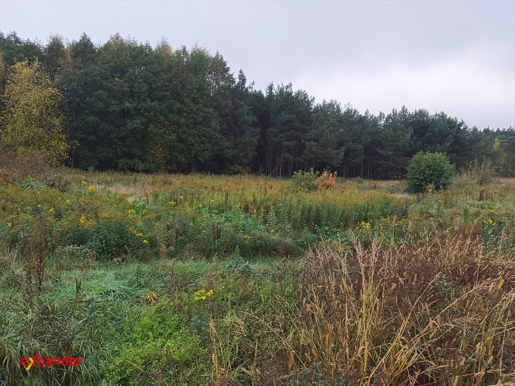 Do sprzedania działka 1521 m² z lasem i dostępem do mediów Sąsieczno  1 521m2 Foto 1