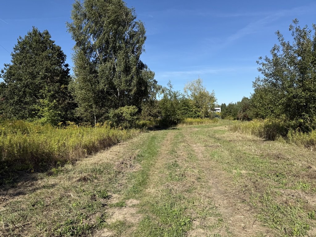 Działka budowlana na sprzedaż Starowa Góra, Królowej Jadwigi  1 274m2 Foto 1