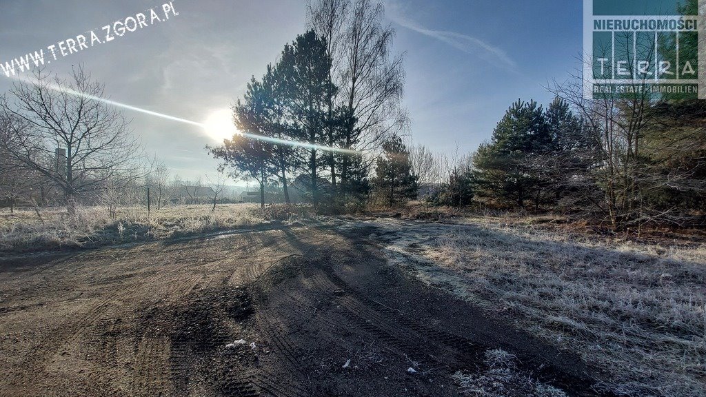 Działka budowlana na sprzedaż Grabowiec  12 673m2 Foto 1