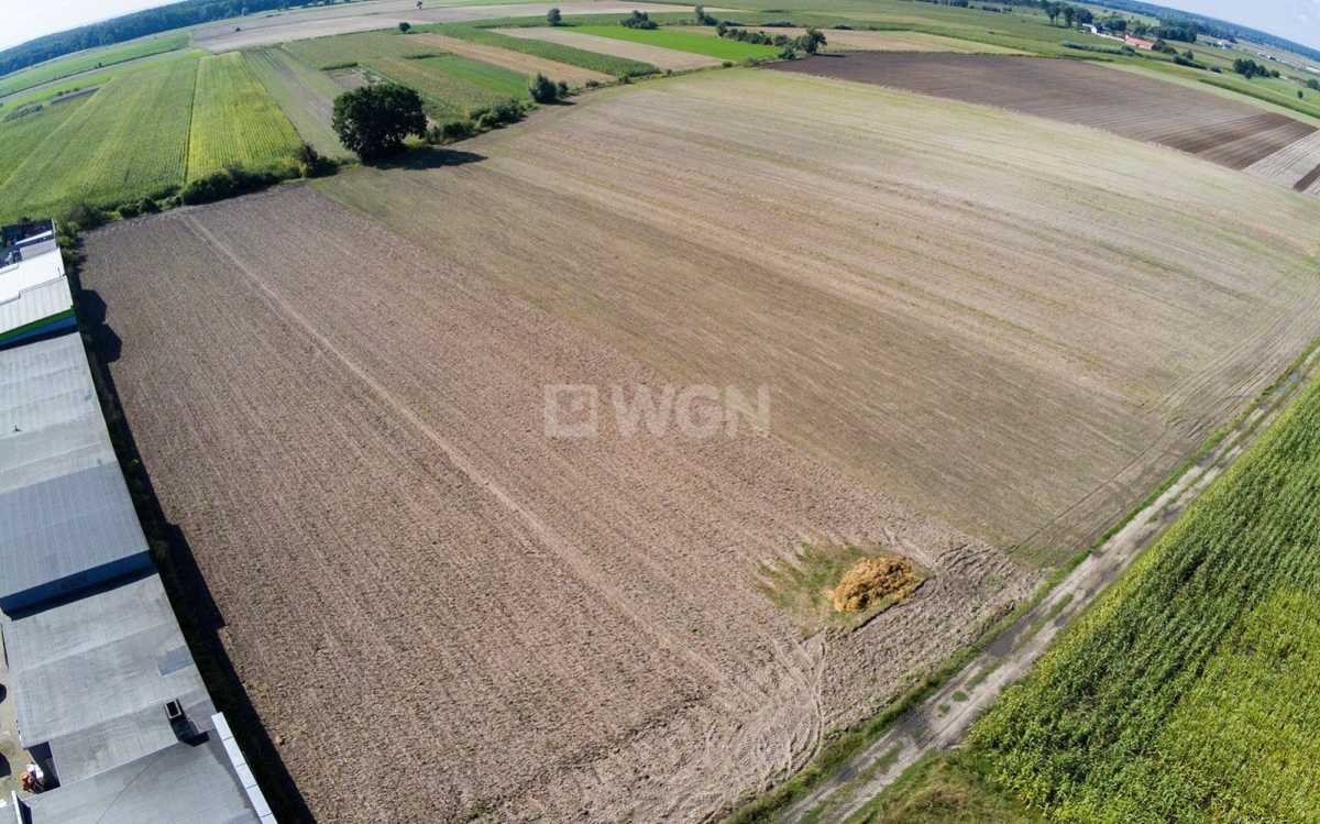 Działka inwestycyjna na sprzedaż Dębno Polskie, Ślusarska  8 200m2 Foto 1