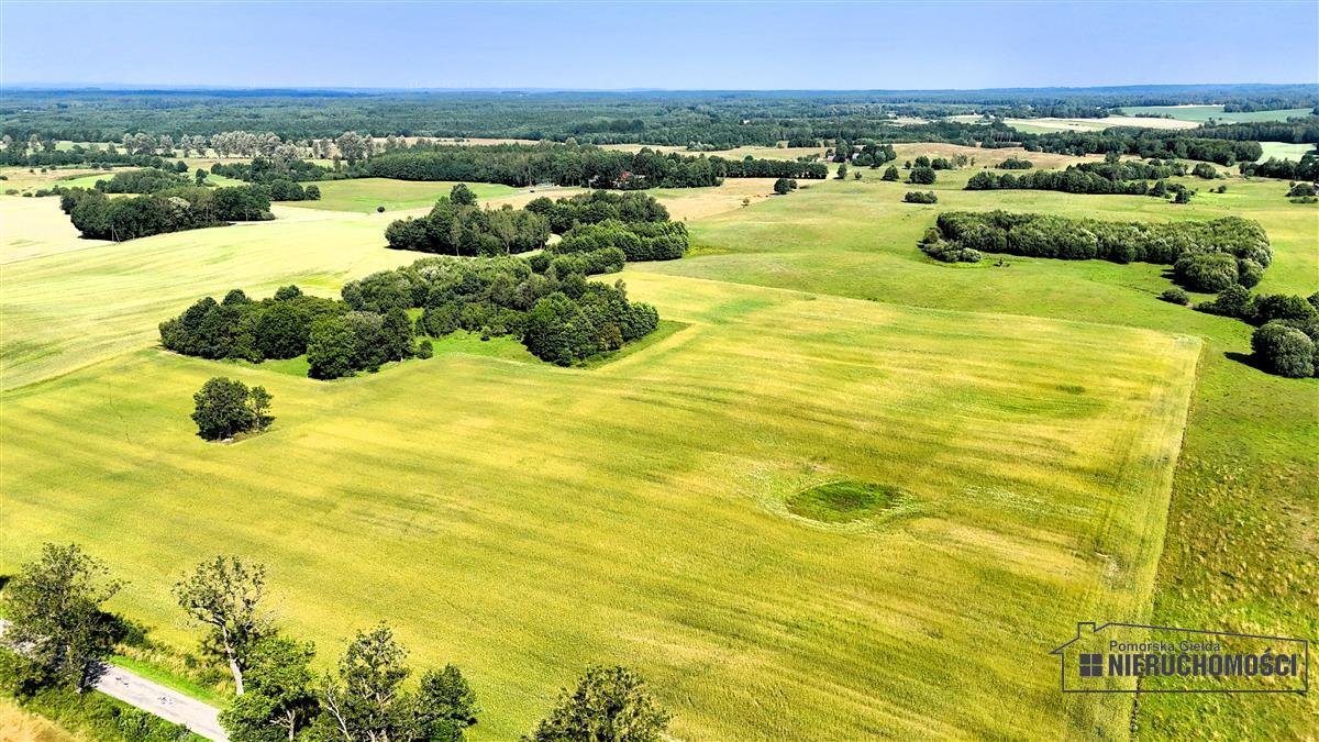 Działka inna na sprzedaż Mieszałki  139 900m2 Foto 4