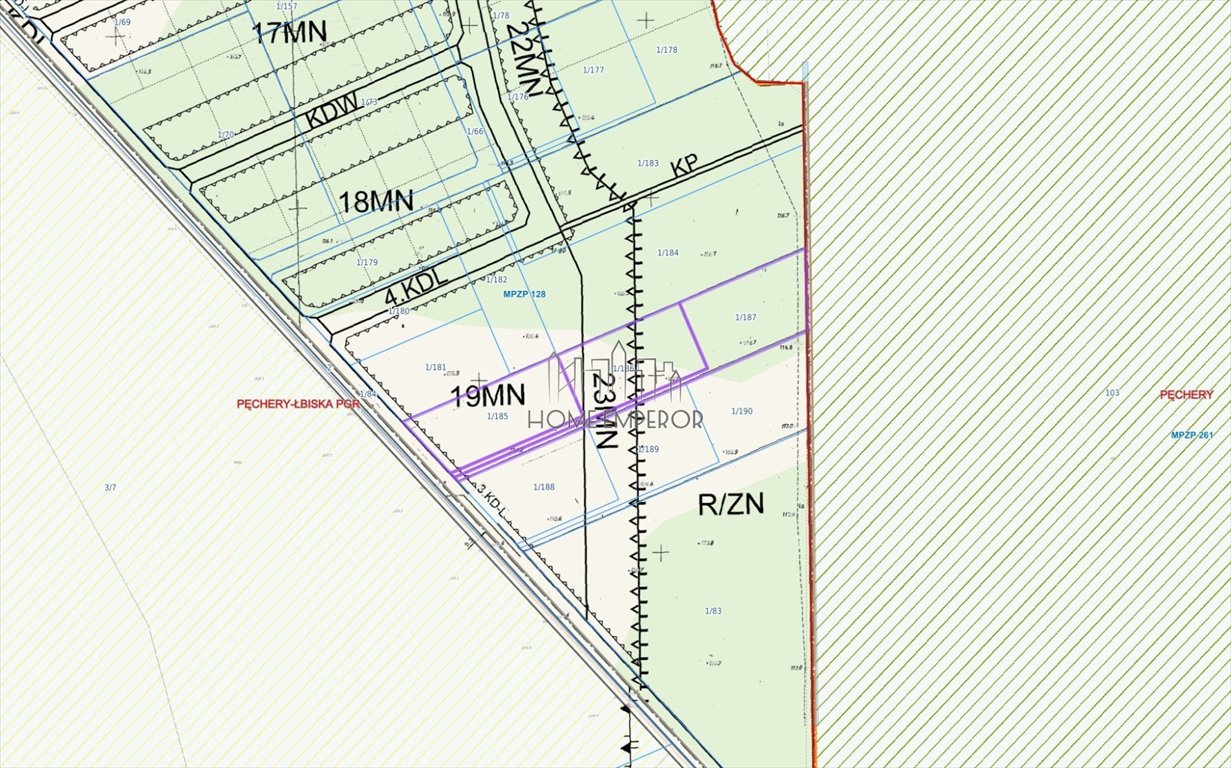 Sprzedam działki 10 047 m² pod zabudowę i zieleń w Łbiskach Łbiska, Pęchery-Łbiska, Bolesława Chrobrego  10 047m2 Foto 1