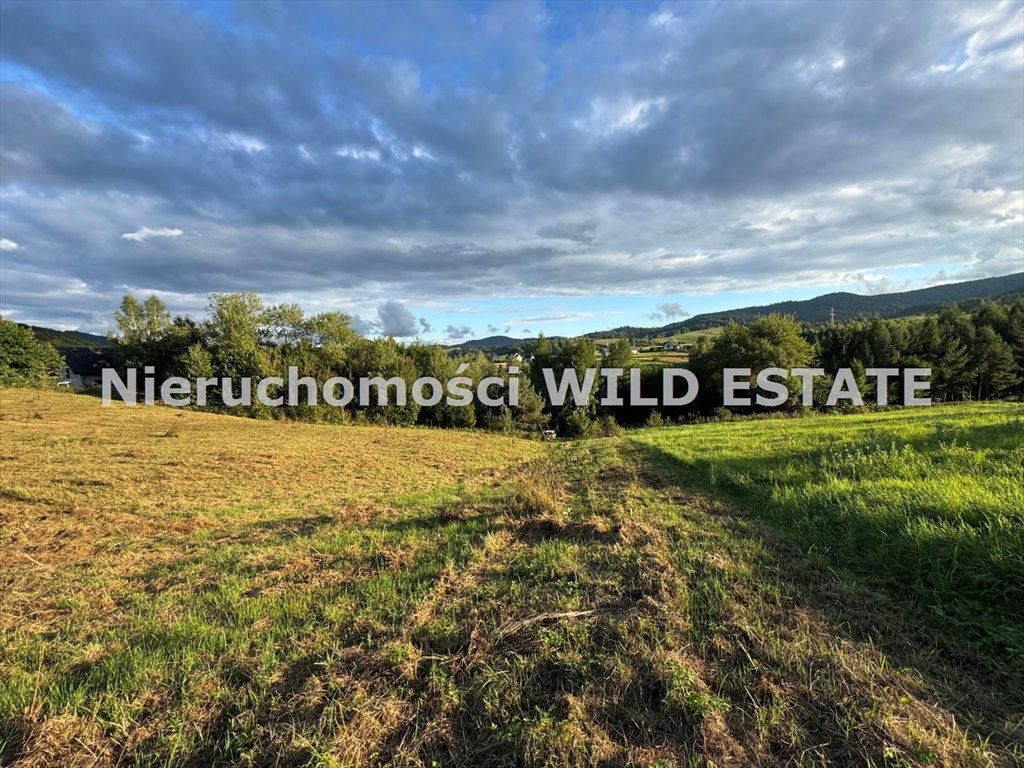 Sprzedam dużą działkę 70 arów z warunkami zabudowy w Bukowcu Bukowiec  7 000m2 Foto 1