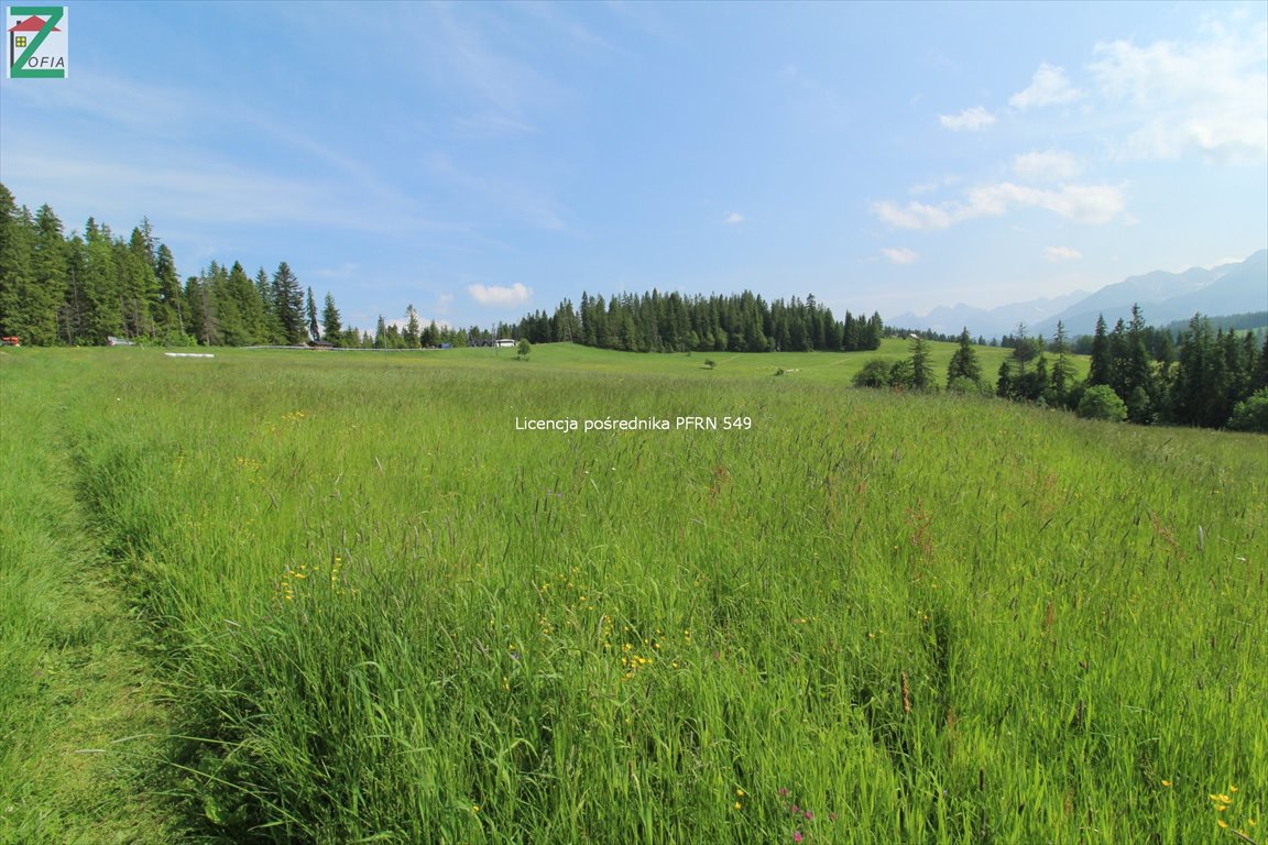 Działka rolna na sprzedaż BUKOWINA TATRZAŃSKA  2 785m2 Foto 1