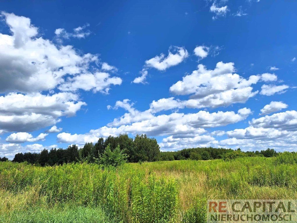 Działka siedliskowa na sprzedaż Koczargi Stare  3 775m2 Foto 3