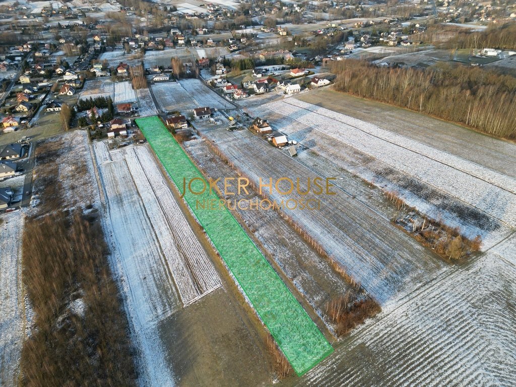 Działka rolna na sprzedaż Borek Stary  5 500m2 Foto 6