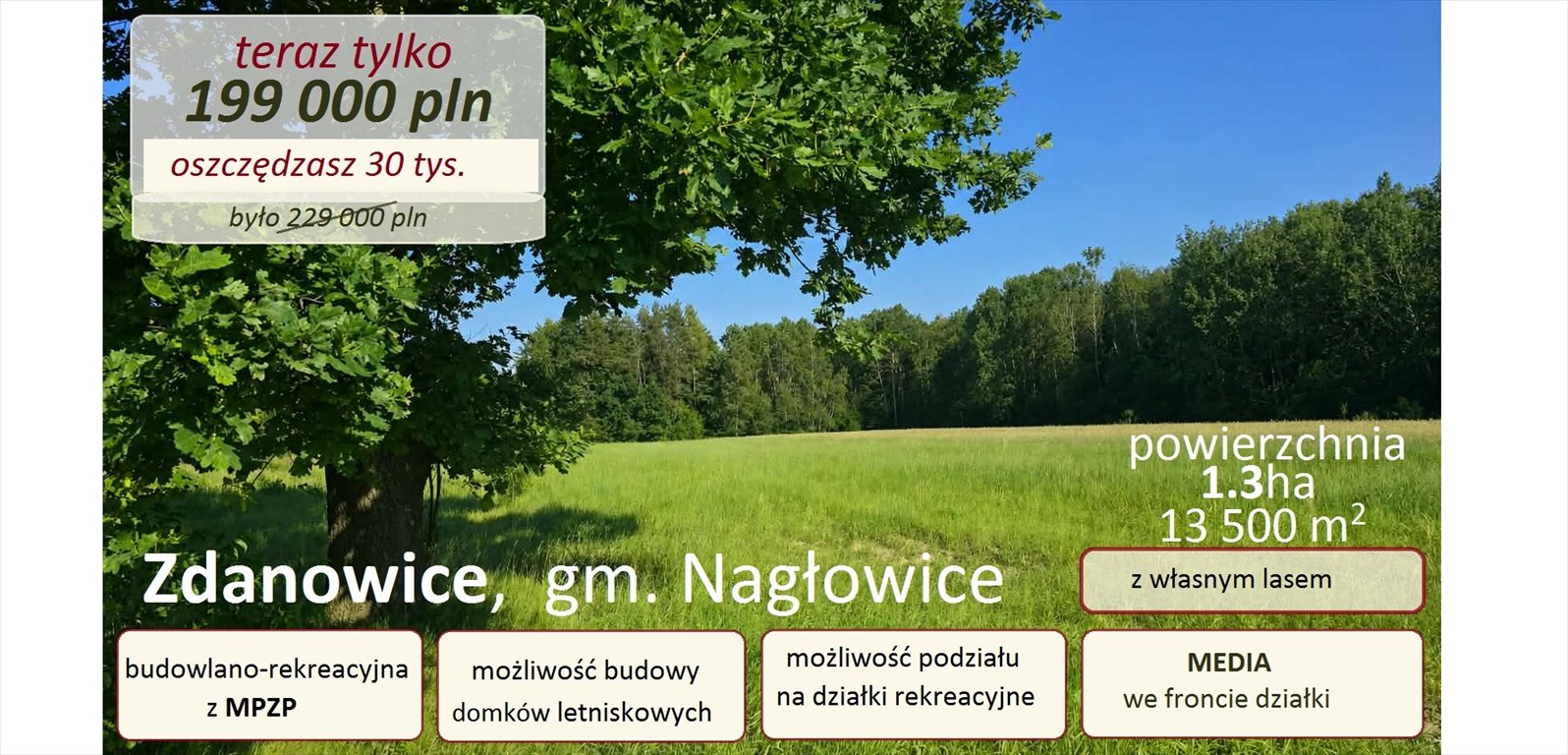 Polecam działkę 13 545 m² z MPZP, lasem i wodą w Zdanowicach Zdanowice  13 545m2 Foto 1
