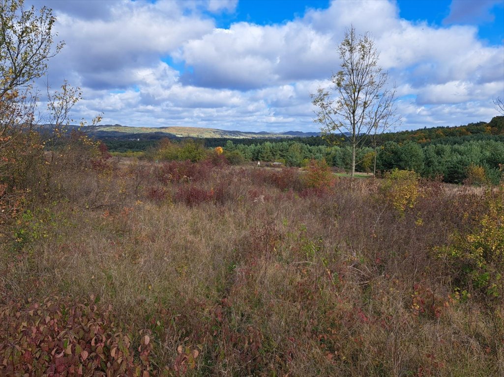 Działka budowlana na sprzedaż Kolbark, Kolbark, Grabowa  2 000m2 Foto 1