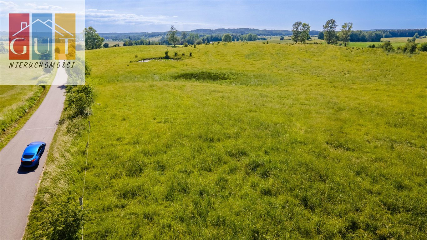 Działka rolna na sprzedaż Blanki  47 100m2 Foto 4