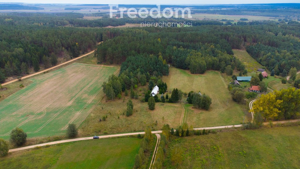 Działka siedliskowa na sprzedaż Łapicze  11 000m2 Foto 4