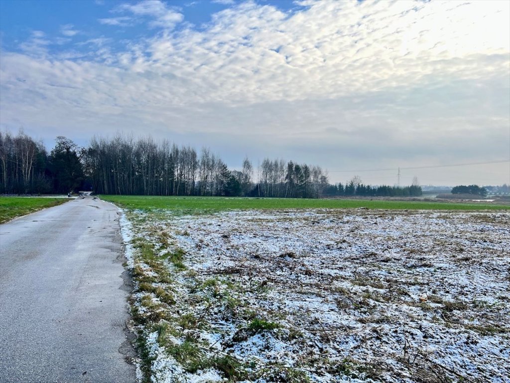 Działka budowlana na sprzedaż Kotorydz, Szczakoska  2 375m2 Foto 4