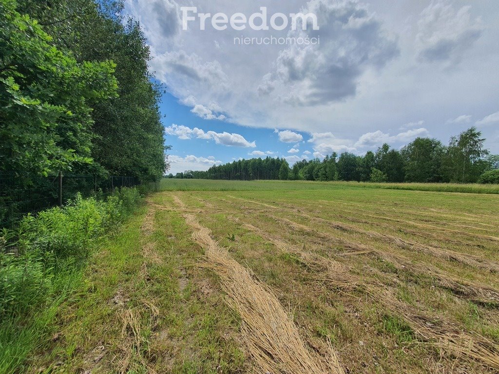 Działka budowlana na sprzedaż Desno  1 313m2 Foto 1