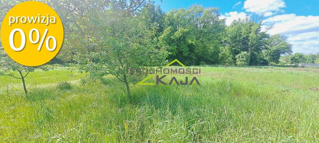 Dom na sprzedaż Dobrzęcin  75m2 Foto 10