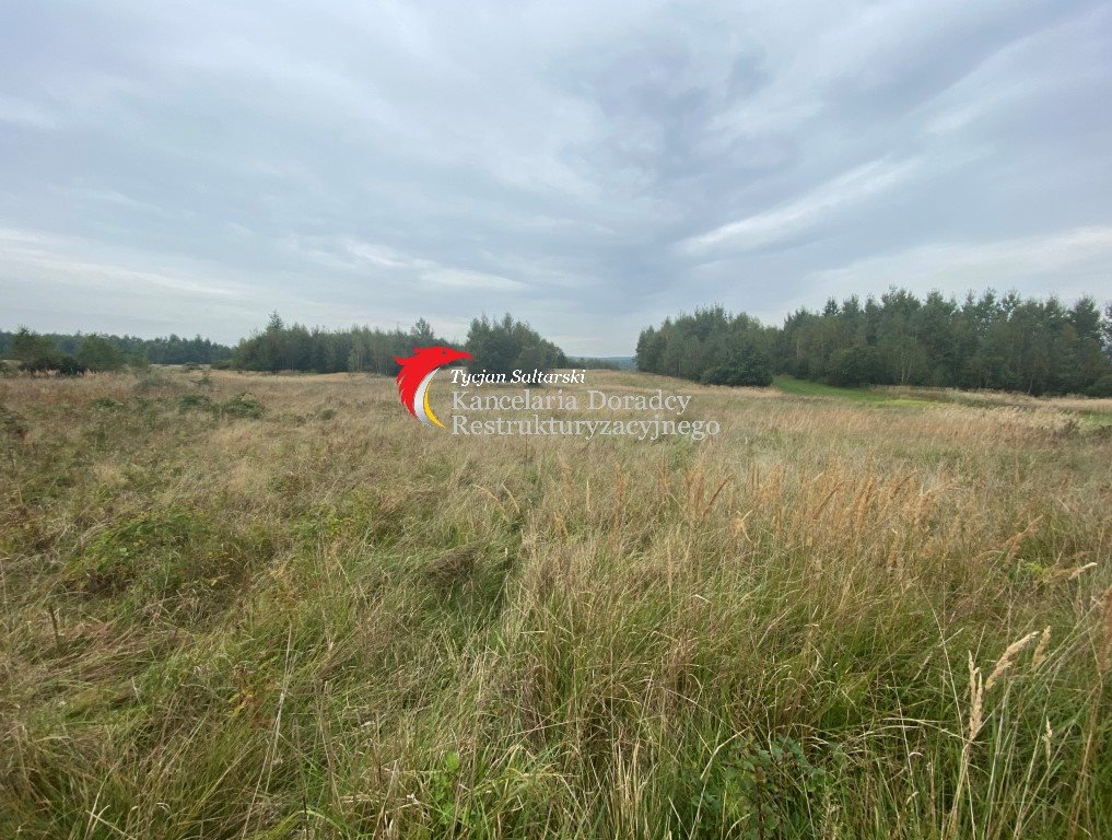 Działka leśna na sprzedaż Masłów Drugi  143 900m2 Foto 3