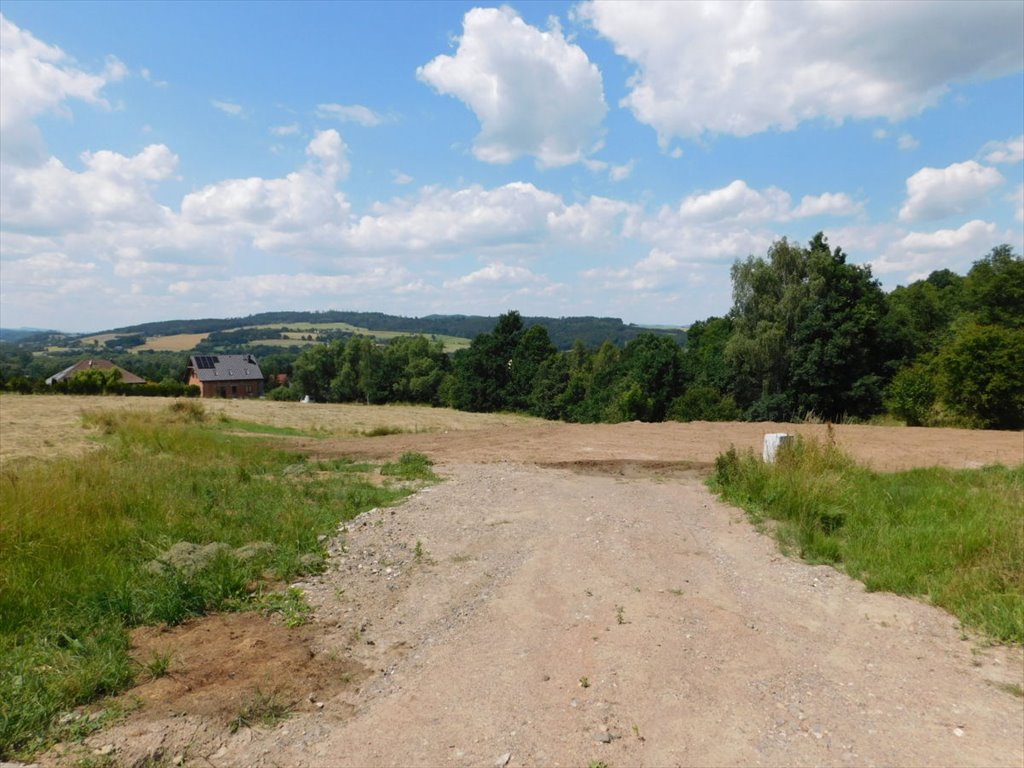 Działka budowlana na sprzedaż Boguszyn  2 000m2 Foto 9