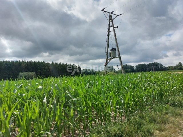 Działka rolna na sprzedaż Pędzewo  3 000m2 Foto 4