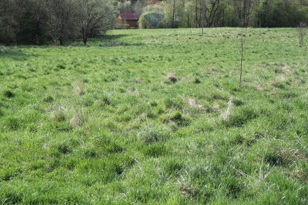 Działka budowlana na sprzedaż Skomielna Biała  14 949m2 Foto 3