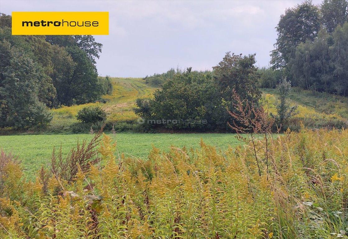 Działka siedliskowa na sprzedaż Przecławice, Strzelińska  3 000m2 Foto 1