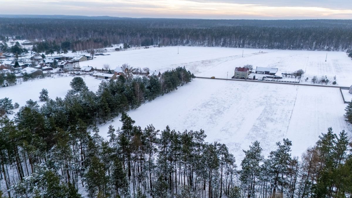 Działka budowlana na sprzedaż Koski Pierwsze  3 754m2 Foto 12