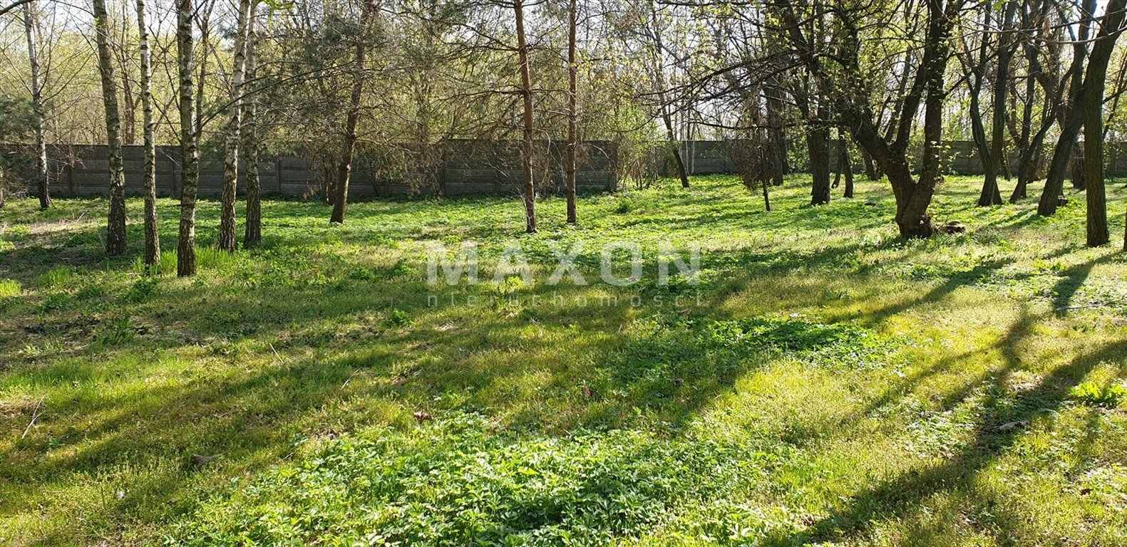 Działka budowlana na sprzedaż Borzęcin Duży  20 000m2 Foto 8