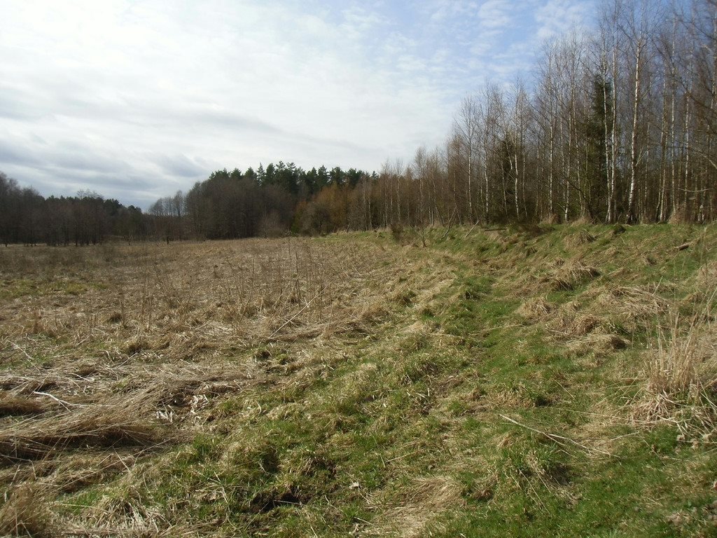 Działka rolna na sprzedaż Tawęcino  136 800m2 Foto 9