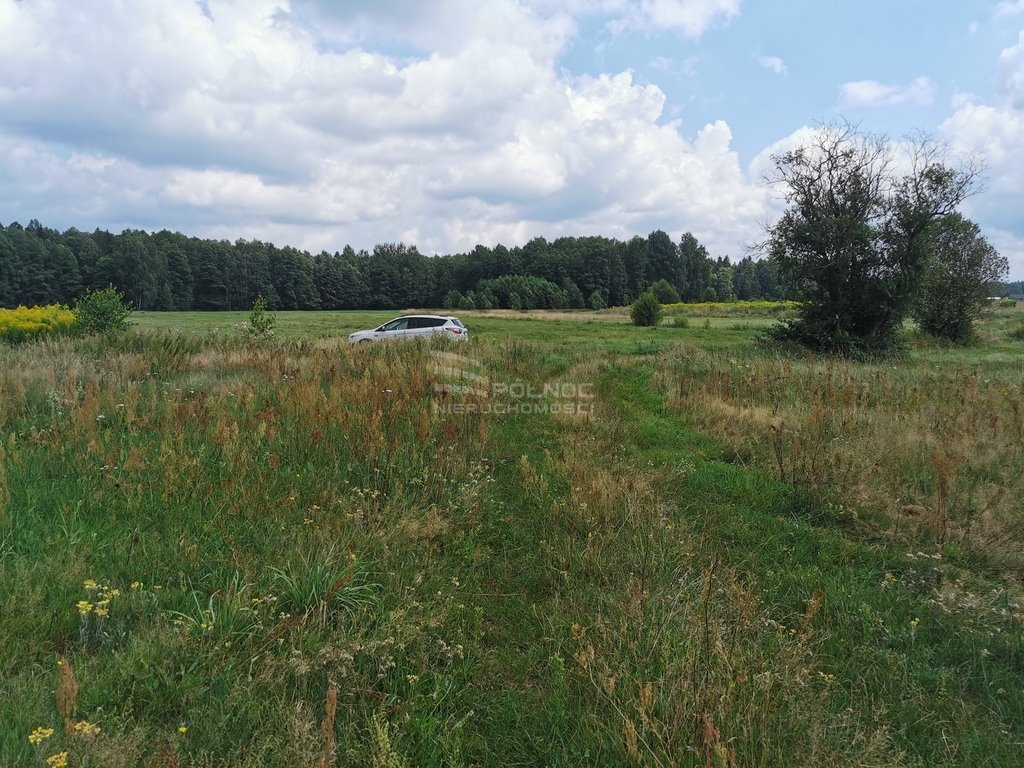 Działka rolna na sprzedaż Królowe Stojło  8 500m2 Foto 20