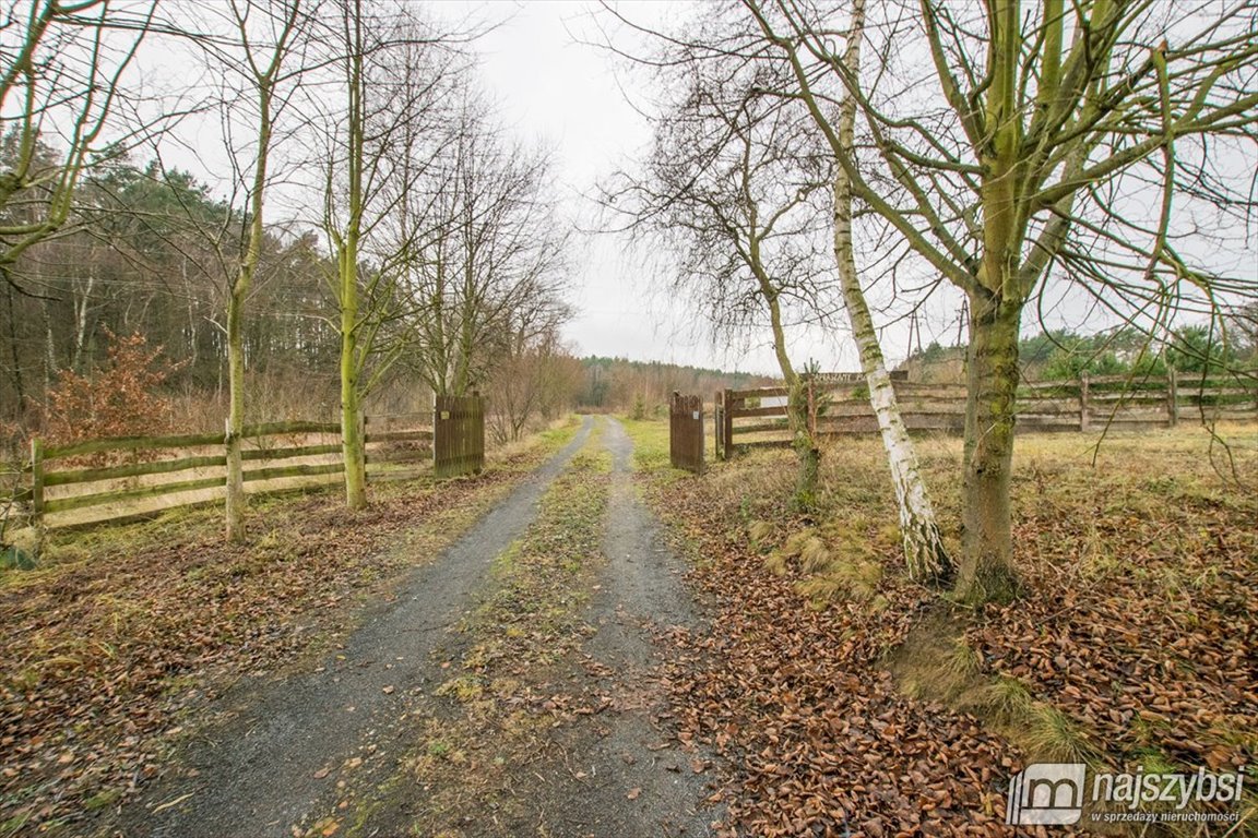 Lokal użytkowy na sprzedaż Bledzew  440m2 Foto 27