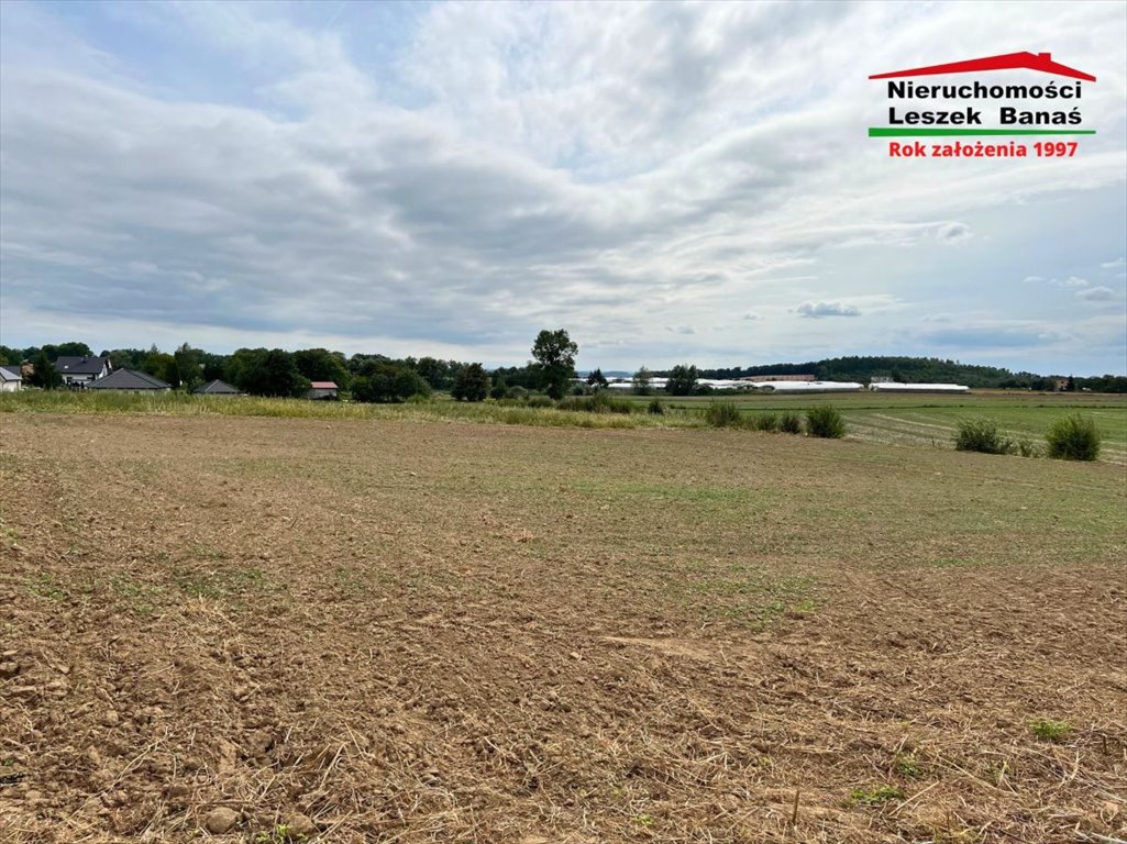 Działka budowlana na sprzedaż Białochowo  1 600m2 Foto 2