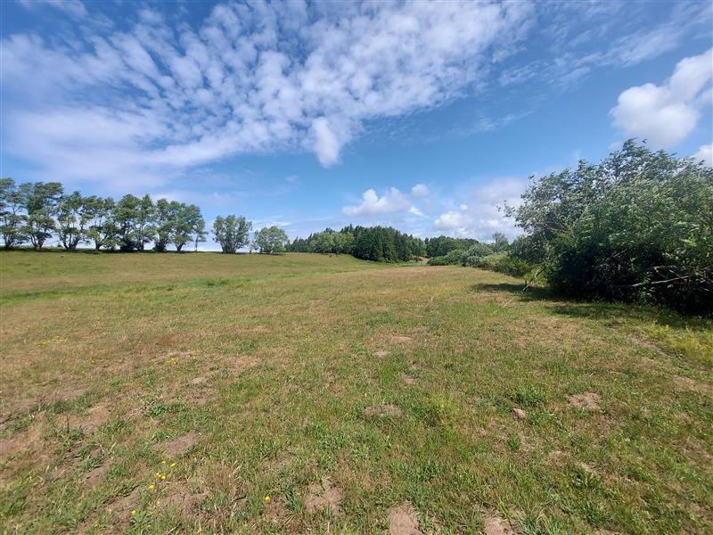 Polecam działkę z linią brzegową rzeki Wieprzy 25 554 m² Kowalewiczki, Kowalewiczki  25 554m2 Foto 1