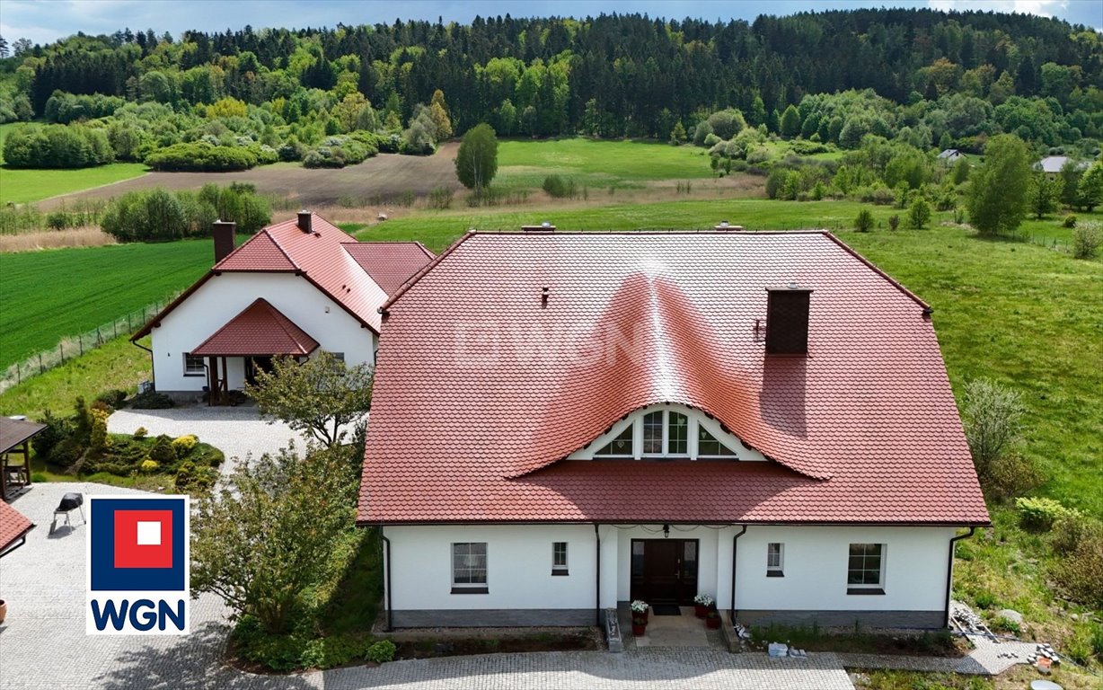 Dwupokoleniowe domy z dużym gruntem 4,56 ha, ogród zimowy Stary Wielisław, Stary Wielisław  367m2 Foto 1