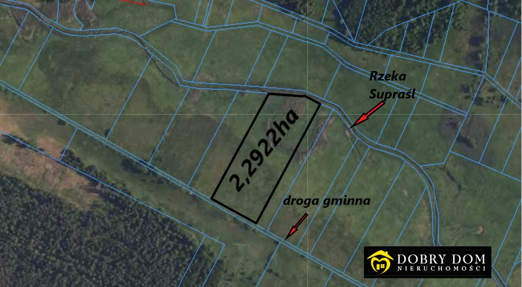 Działka rolna na sprzedaż Waliły  22 922m2 Foto 1