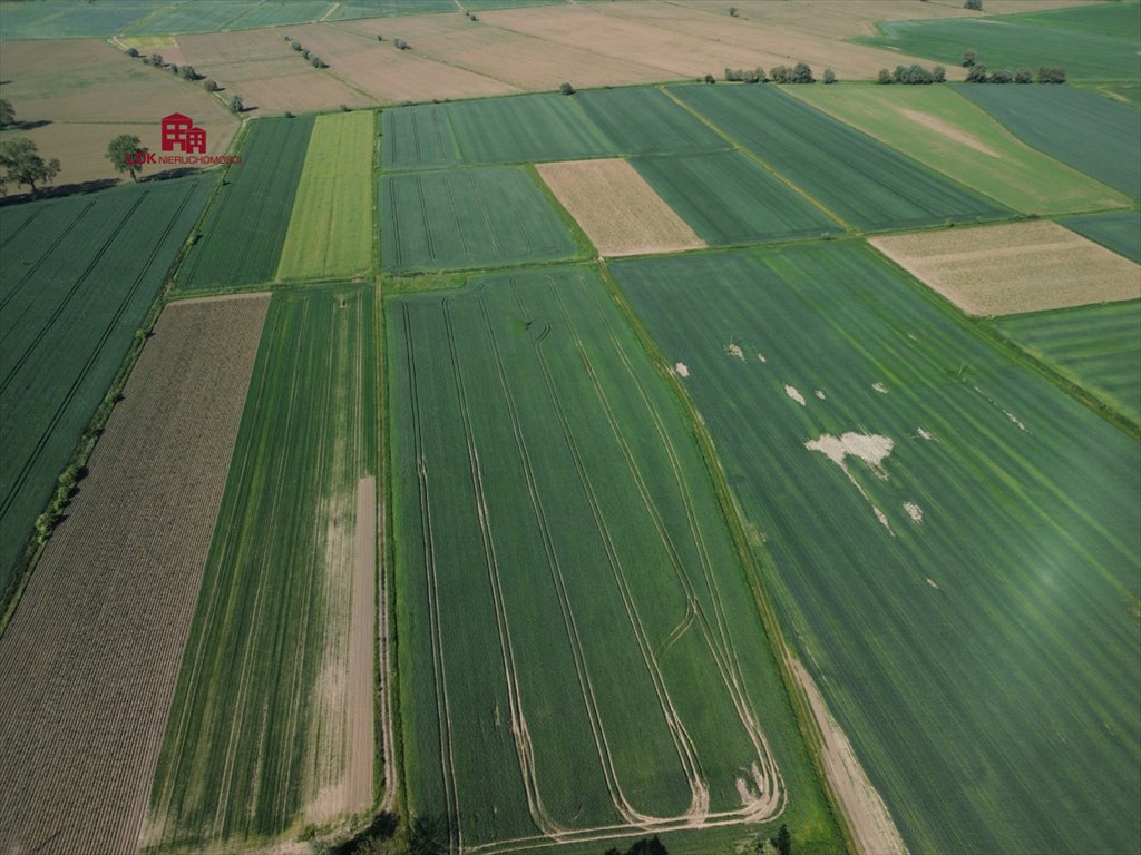 Działka siedliskowa na sprzedaż Gdańsk, Sobieszewo, Przegalińska  3 000m2 Foto 7