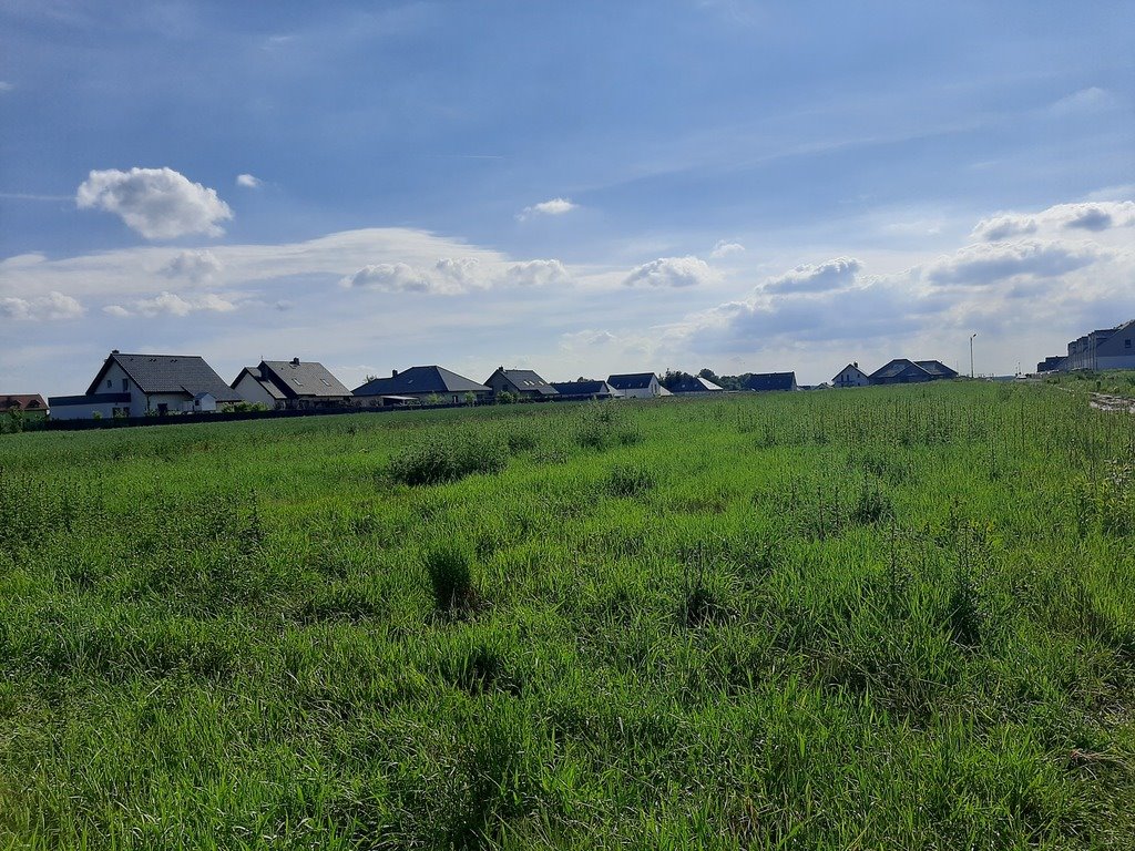 Działka budowlana na sprzedaż Smardzów  1 000m2 Foto 5