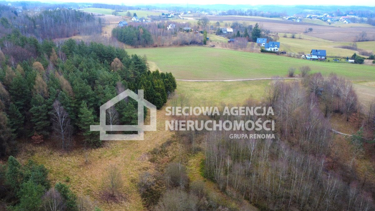 Działka siedliskowa na sprzedaż Brodnica Górna  53 227m2 Foto 1