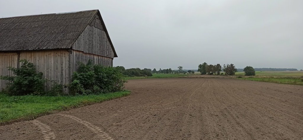 Działka budowlana na sprzedaż Rzechów-Kolonia  14 700m2 Foto 8