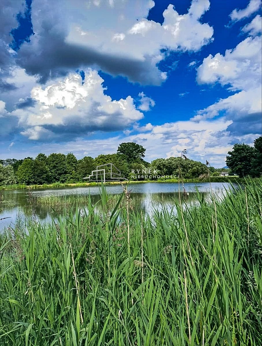 Działka inna na sprzedaż Międzyrzecze Dolne  3 030m2 Foto 3