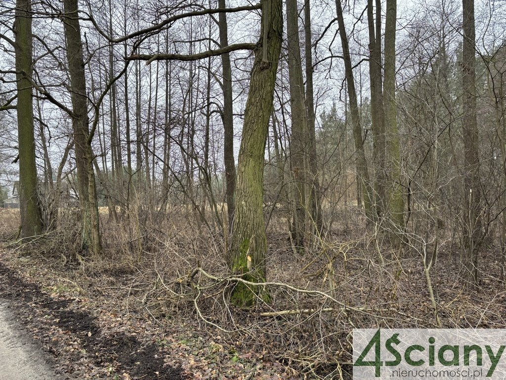 Działka rolna na sprzedaż Stare Polesie  3 000m2 Foto 7