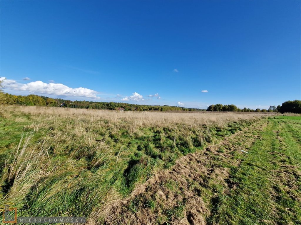 Działka budowlana na sprzedaż Zelków  4 025m2 Foto 1