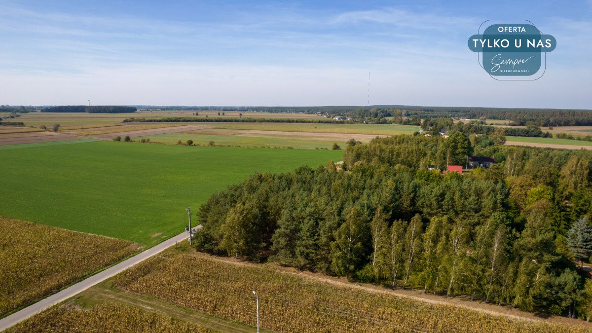 Działka budowlana na sprzedaż Krokocice  4 800m2 Foto 12