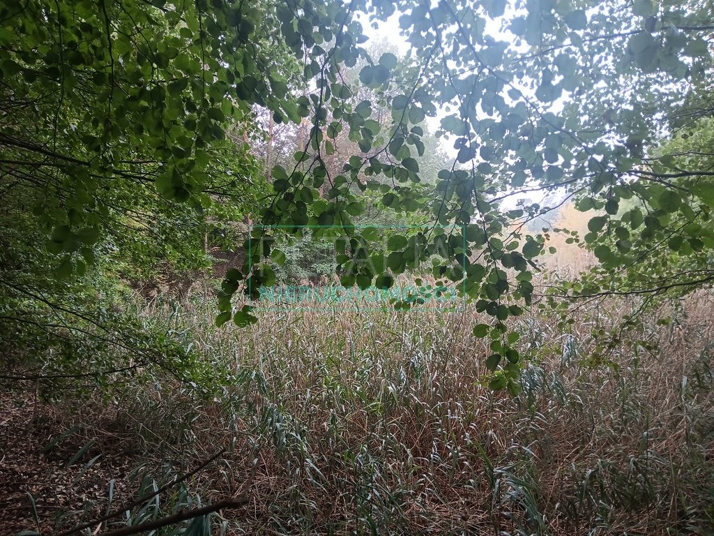 Działka budowlana na sprzedaż Książenice  130 000m2 Foto 1