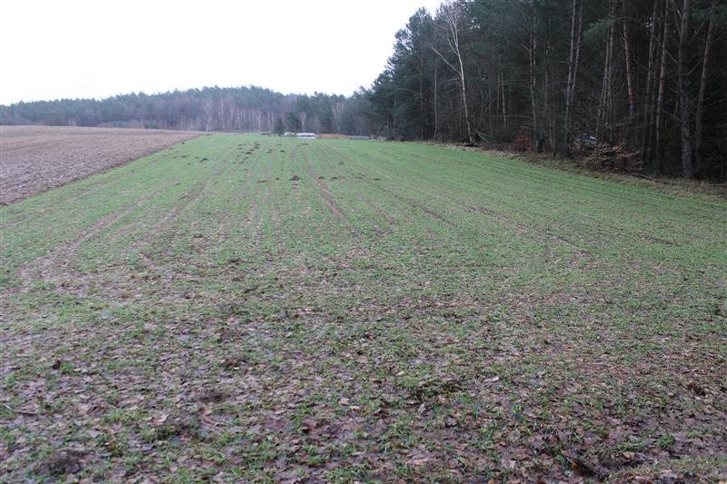 Działka inna na sprzedaż Ustarbowo, Leśna  10 784m2 Foto 6