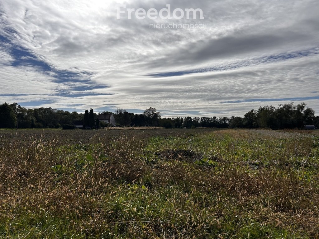 Działka rolna na sprzedaż Dwory Drugie  1 905m2 Foto 8