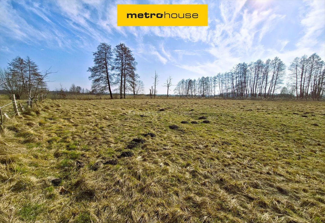 Działka rolna na sprzedaż Franciszkowo, Franciszkowo Dolne  12 900m2 Foto 1