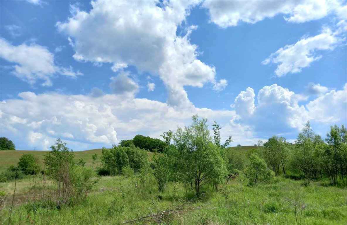 Działka budowlana na sprzedaż Chwaliszów, Chwaliszów  52 000m2 Foto 9