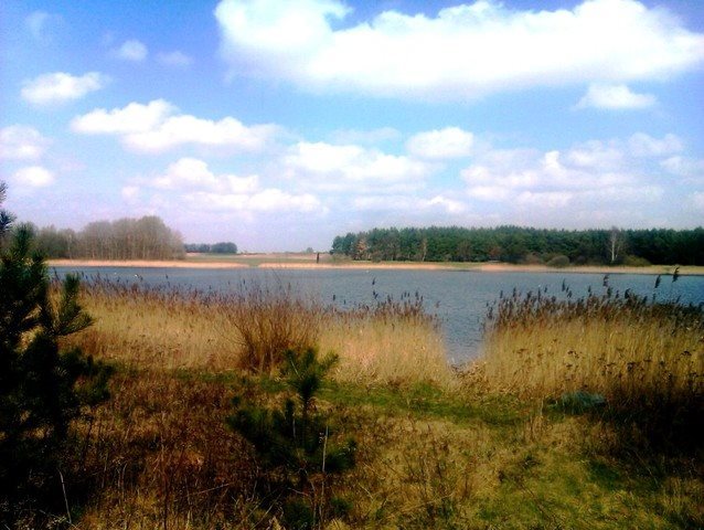 Działka rekreacyjna na sprzedaż Kłecko 2 346m2 Foto 1 Działka rekreacyjna na sprzedaż Kłecko 2 346m2 Foto 1