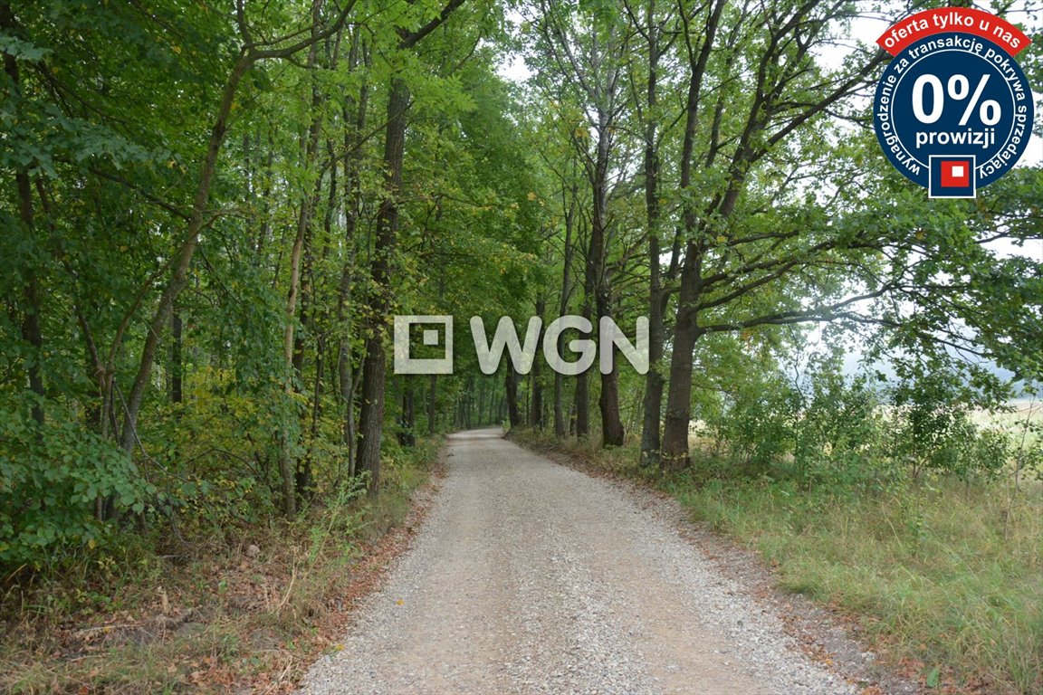 Działka budowlana na sprzedaż Kożuchy  1 030m2 Foto 5