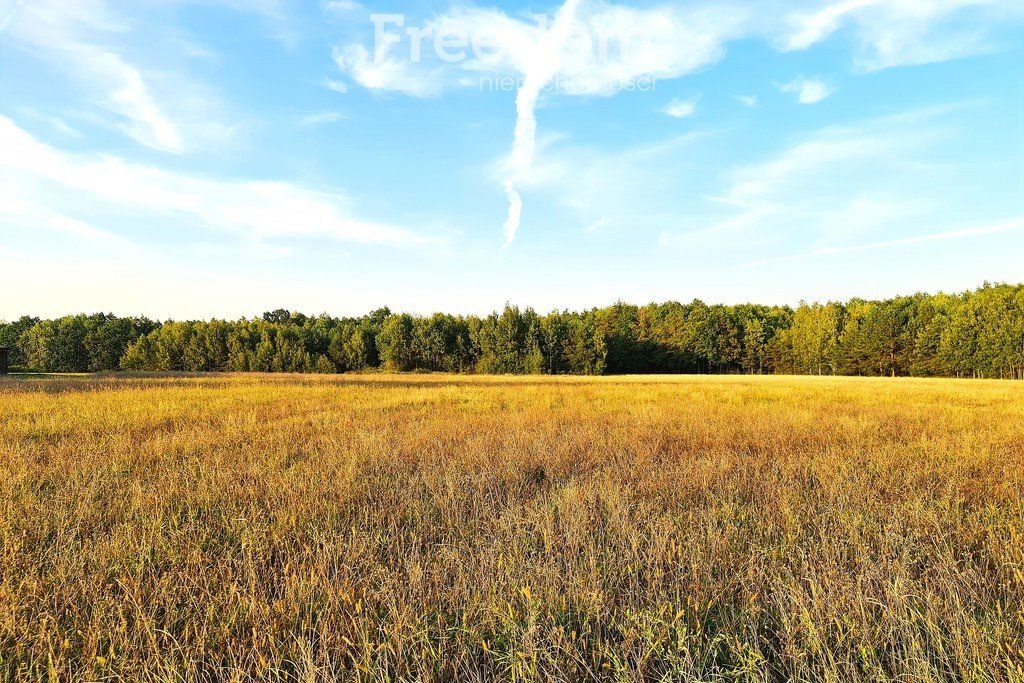 Działka siedliskowa na sprzedaż Zuzułka  3 001m2 Foto 5