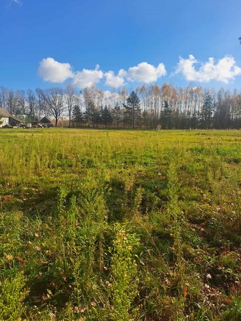 Działka w Cmolasie z warunkami zabudowy i zielonym otoczeniem Cmolas, Dąbrówki, Cmolas  1 200m2 Foto 1