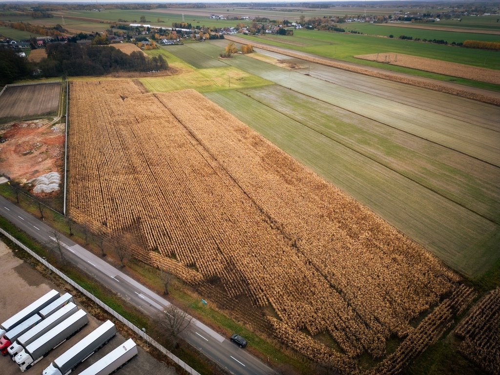 Działka inwestycyjna na sprzedaż Kalino  24 300m2 Foto 1